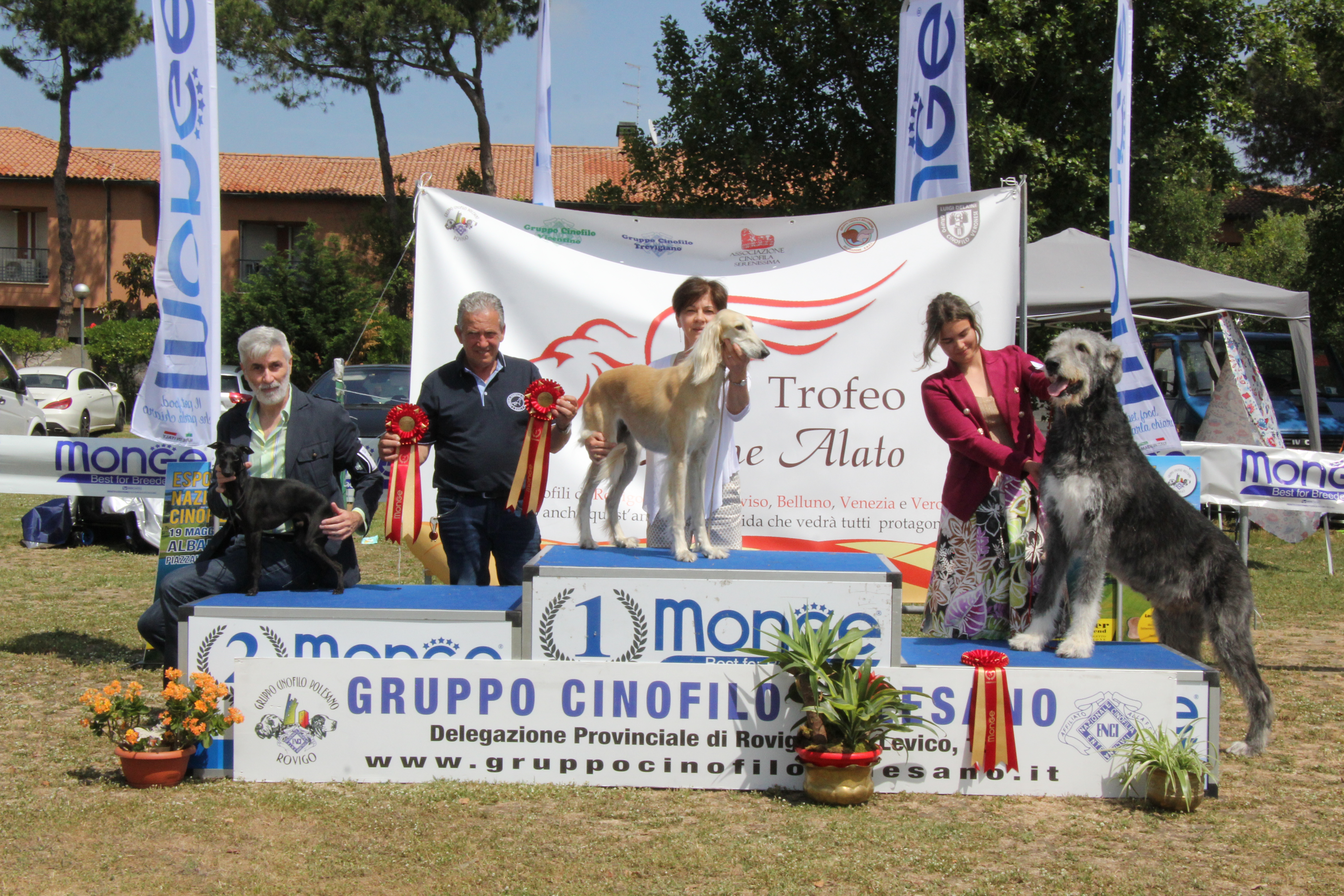 Gruppo7  
