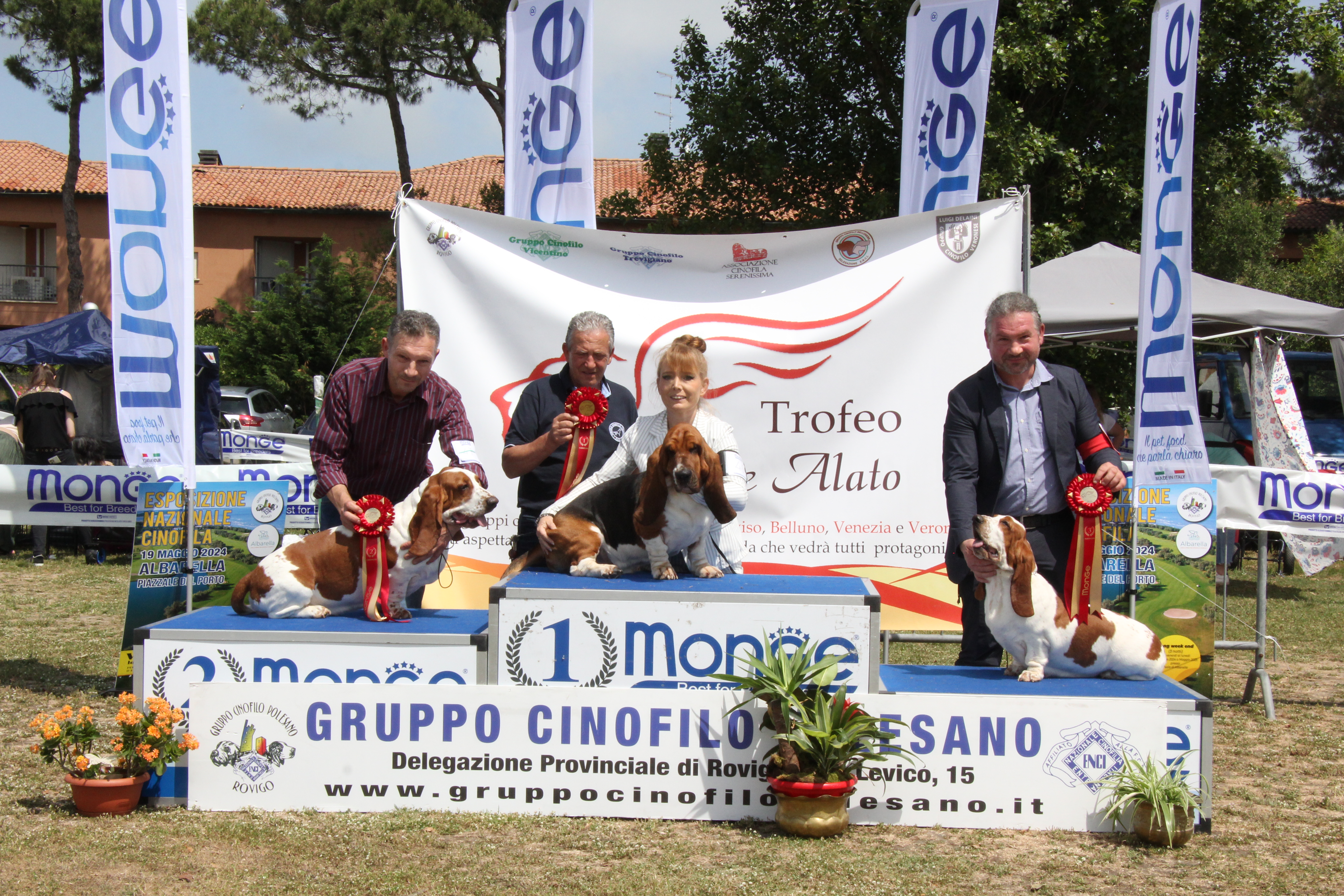 Gruppo6  